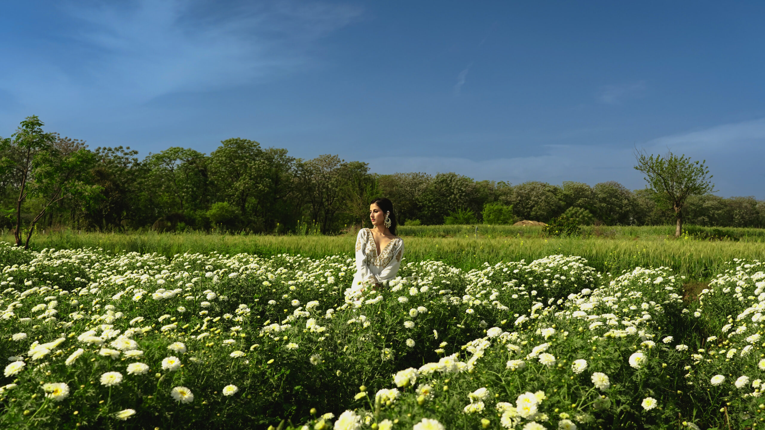 bahaar flowers